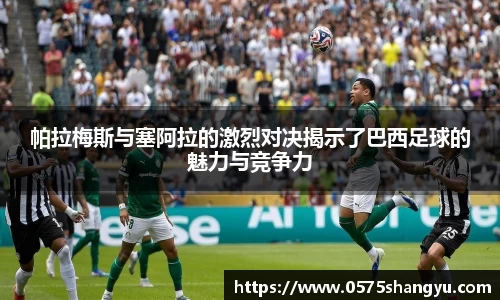 NG大舞台官网入口